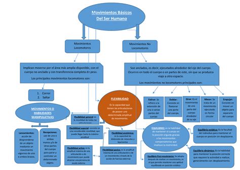 Mapa Conceptual Jav Mapa Movimientos Básicos Del Ser Humano