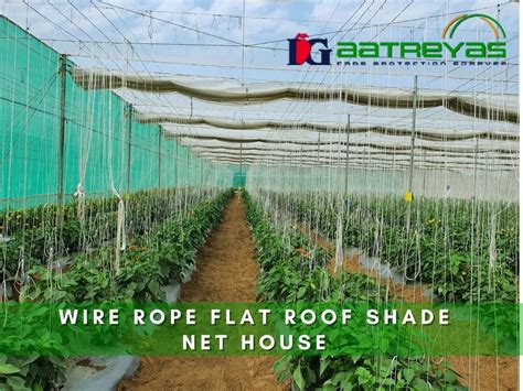 Protected Cultivation Greenhouse For Fruits Farming Wire Rope Flat