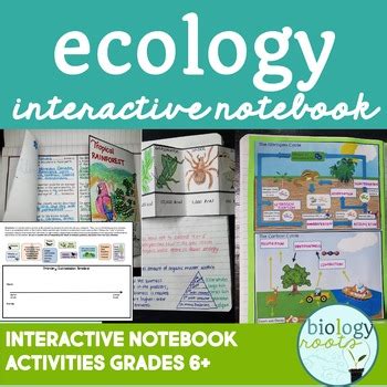 Ecology Interactive Notebook Supports Distance Learning By Biology Roots