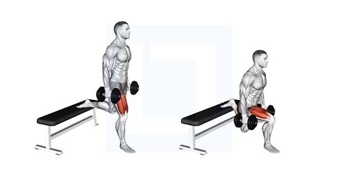 Dumbbell Single Leg Split Squat Guide Benefits And Form