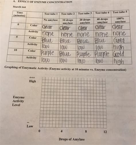 Solved A. EFFECT OF ENZYME CONCENTRATION Starch test est | Chegg.com