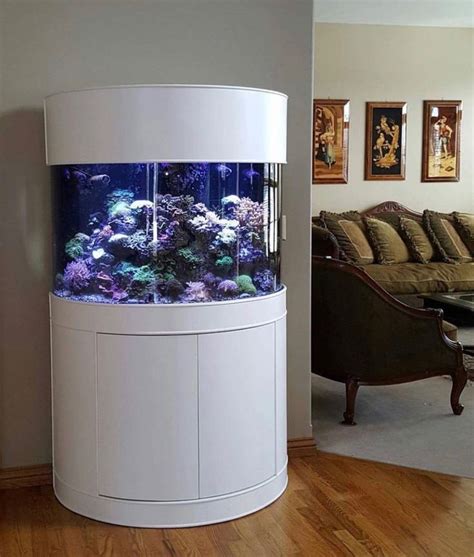 Beautiful Half Cylinder Fish Tank Aquarium Custom Fish Tanks Glass