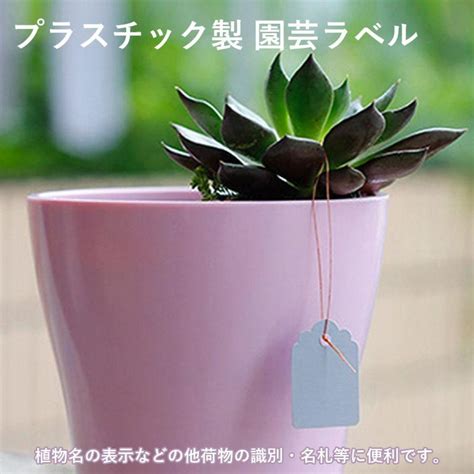 園芸用ラベル 100点セット 紐ハングタグ 花壇・鉢植の植物名表示や荷物の名札等に Ptq8d585eaoo9selectshopうり坊