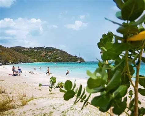 Things To Do In St John U S Virgin Islands