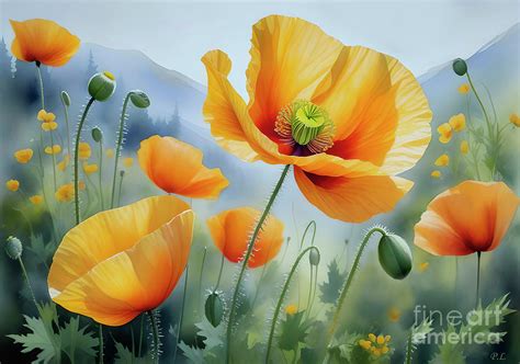 Yellow Alpine Poppy Painting By Pavel Lukashin Fine Art America