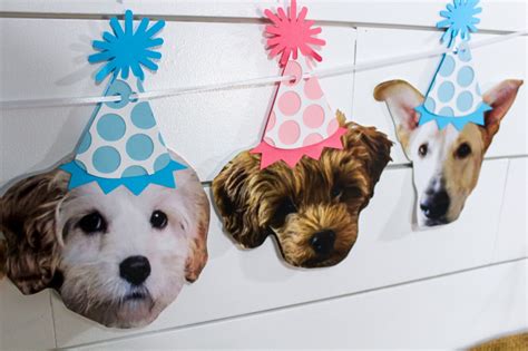 Dog Birthday Banner Dog Birthday Dog Photo Banner Face | Etsy