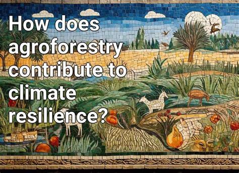 How Does Agroforestry Contribute To Climate Resilience Agriculture