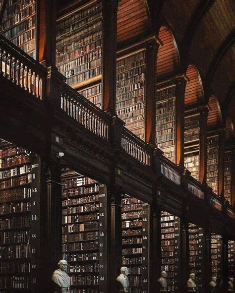 Trinity College Library Dublin Awesome Hogwarts Aesthetic