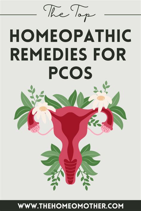 The Top 9 Best Homeopathic Remedies For Pcos The Homeo Mother