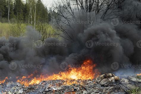 Fire in forest. Smoke over trees. Harm to nature. 13056825 Stock Photo at Vecteezy