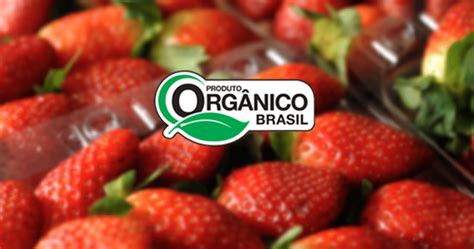 Certificação Orgânica como conseguir o selo de produto orgânico