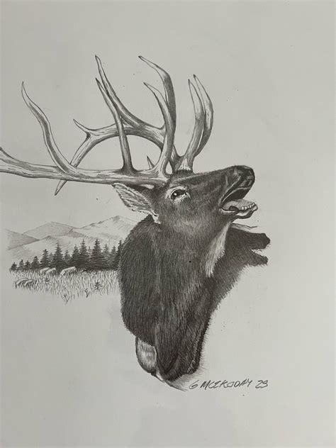 Pencil Drawings Of Elk Heads