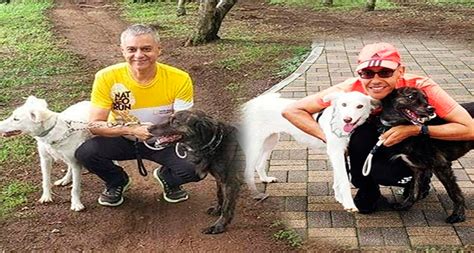 MP investiga agresiones contra pareja Gay en San Cristóbal DEGUATE