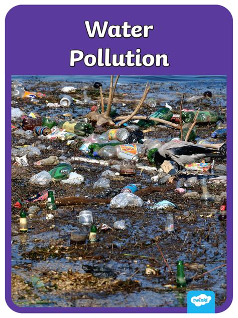 T Tp 2660386 Types Of Pollution Poster Ks1ver1 Pdf