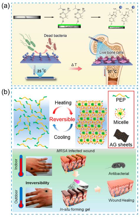 An Overview Of Stimuli Responsive Intelligent Antibacterial Nanomaterials