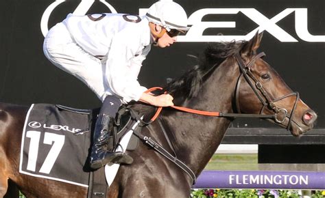 Lunar Flare Set To Contest Moonee Valley Gold Cup Just Racing