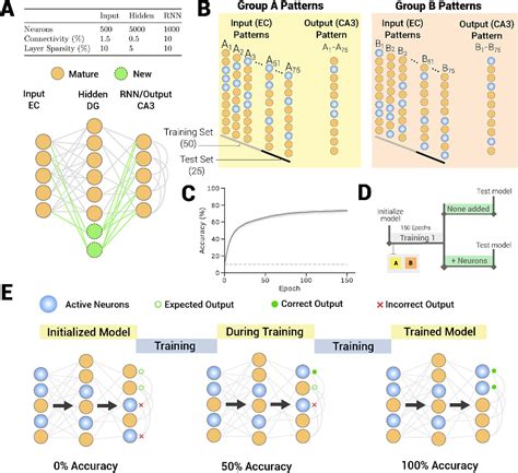 Figure From Forgetting At Biologically Realistic Levels Of