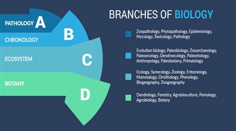 33 Branches Of Biology A Comprehensive Outline Earth How