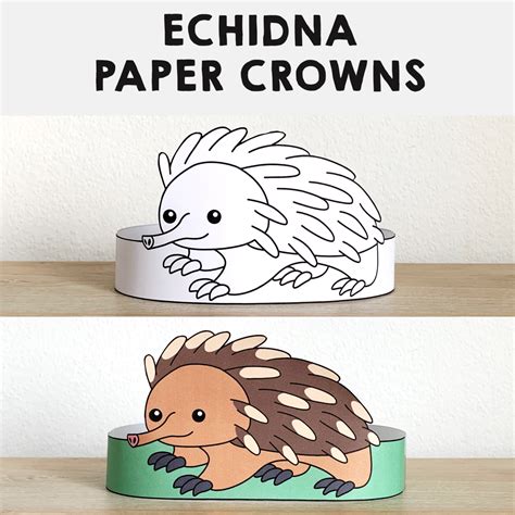 Echidna Paper Crowns Australian Animal Headband Printable Coloring Craft | Made By Teachers