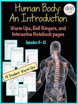 Human Body Introduction Bell Ringers Human Body Warm Ups Biology