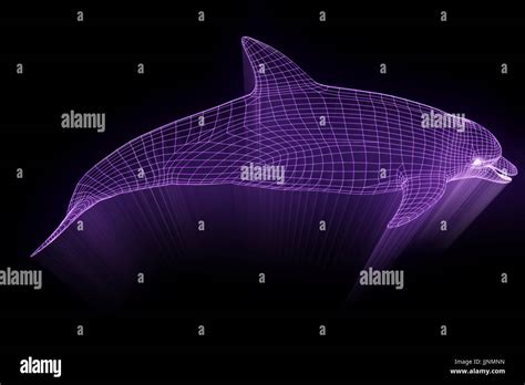 Dolphin in Hologram Wireframe Style. Nice 3D Rendering Stock Photo - Alamy