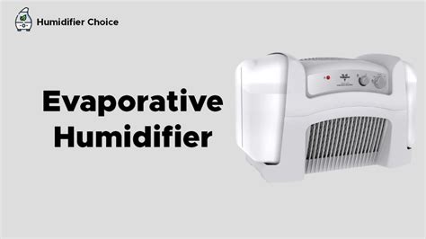 Types Of Humidifiers In 2024 Pros And Cons Humidifier Choice