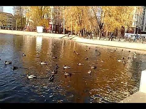 Утиная охота Октябрь 2020 Парк Якутова Уфа - YouTube