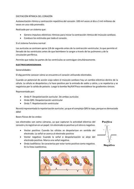 Electrocardiograma Patricia Carreño Calvo uDocz