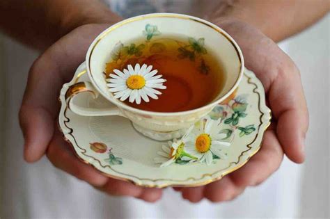 Blood Pressure Tea 7 Ayurvedic Tonics For Your Body And Mind