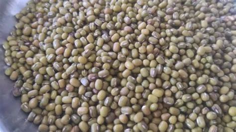 Baltimor Green Moong Seeds For Food Processing Packaging Type Loose