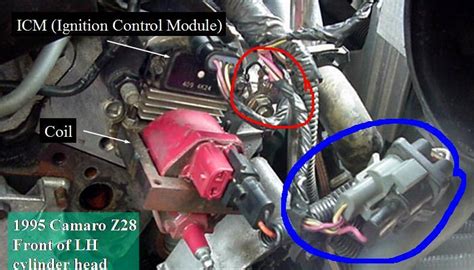 Diagram 1995 Lt1 Wiring Diagram Ez Wiringschemacom
