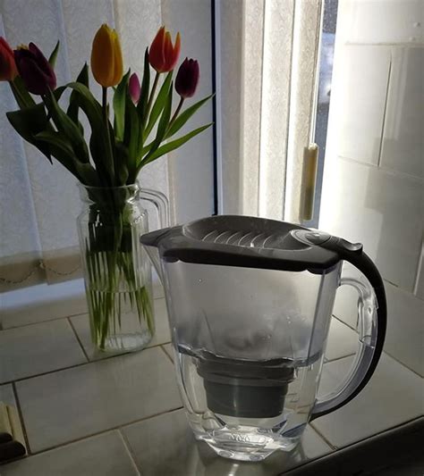 10 Water Filter Jugs From Amazon That Can Improve the Taste of Your Tap ...