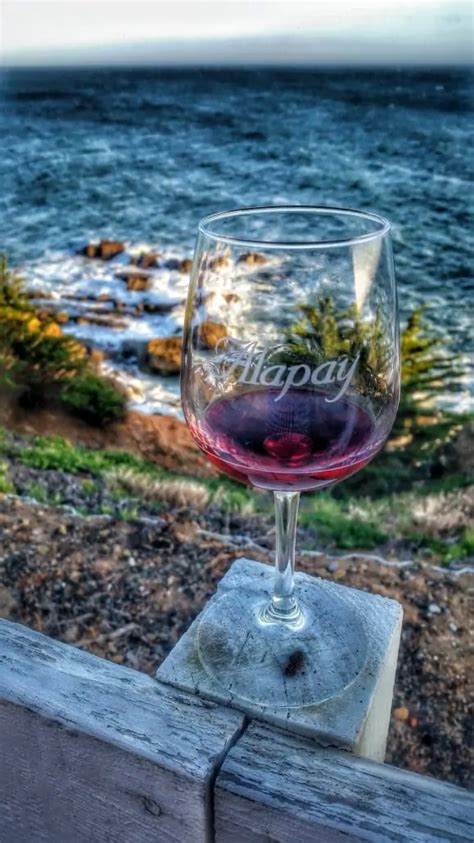 The Best Avila Beach Wineries To Visit (Just Updated)