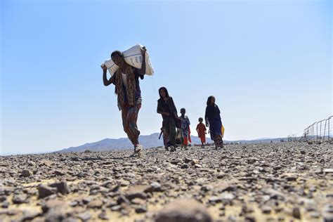 Famine In The World Today