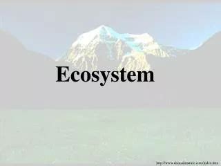 PPT - Ecosystem PowerPoint Presentation, free download - ID:8872245