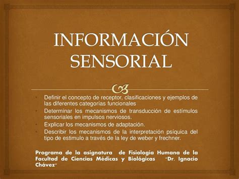 Informaci N Sensorial Camila Del Castillo Monta O Udocz