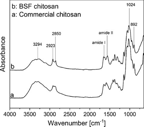 Ftir Spectra Commercial Chitosan A And B Chitosan From