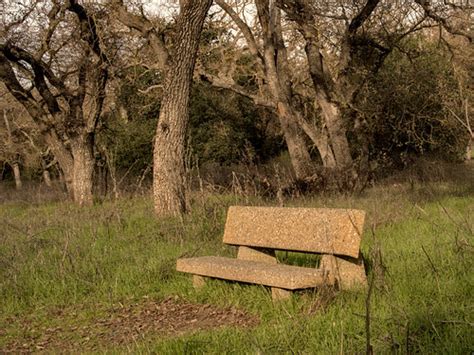 Park Bench Guadalupe Oak Grove Park San Jose California Flickr