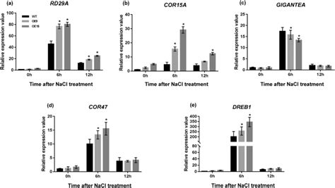 Crcomt Regulates The Stress Responsive Marker Genes Expression Level