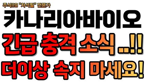 카나리아바이오 현재시각 12시 긴급 충격 소식 선언 더이상 속지 마세요 카나리아바이오 카나리아바이오