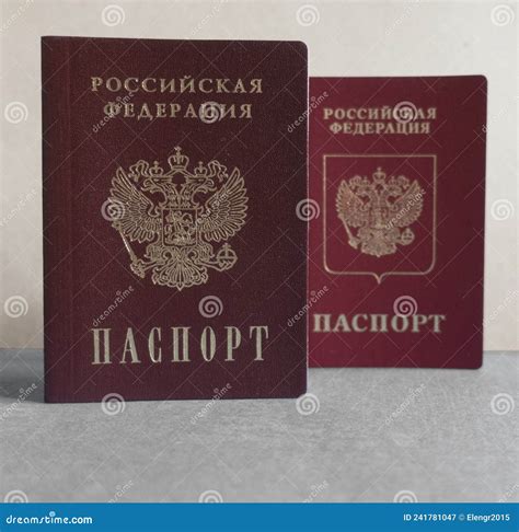 Two Passports Of A Citizen Of The Russian Federation Internal And