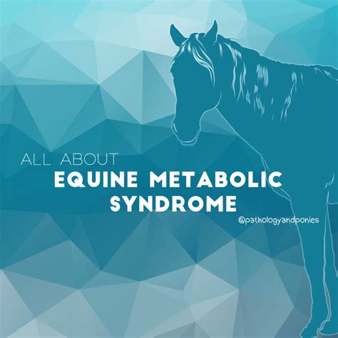 Visceral Gout Pathology And Ponies