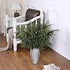 Amazon FOTEEWL Real Touch Norfolk Pine Branch 36 Artificial