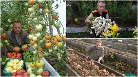 C EST le secret du jardin le plus fertile du JARDINIER Igor La clé