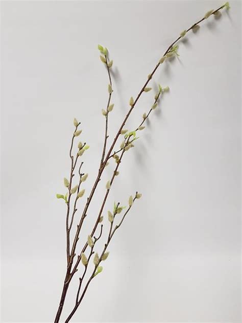 Artificial Pussy Willow Cm Desflora