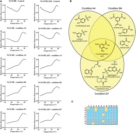 Screening For Interacting Small Molecules Using The Thermofluor Assay