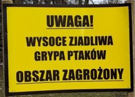 Uwaga Ptasia Grypa