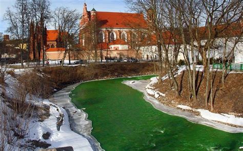 In Pictures St Patrick S Day Celebrations Around The World Artofit