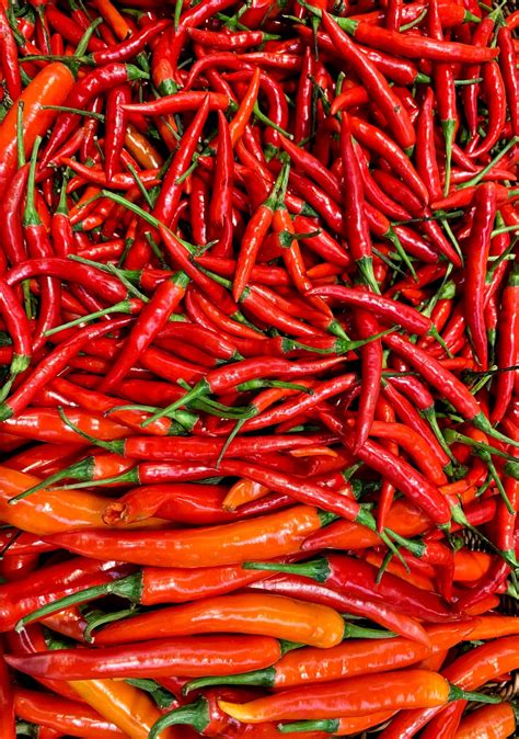 Wellhealthorganic Red Chilli You Should Know About Red Chilli Uses