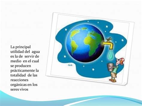 La Importancia Del Agua En Los Seres Vivos Ppt